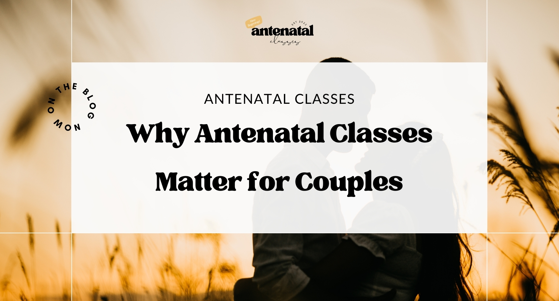 should couples attend antenatal classes-together