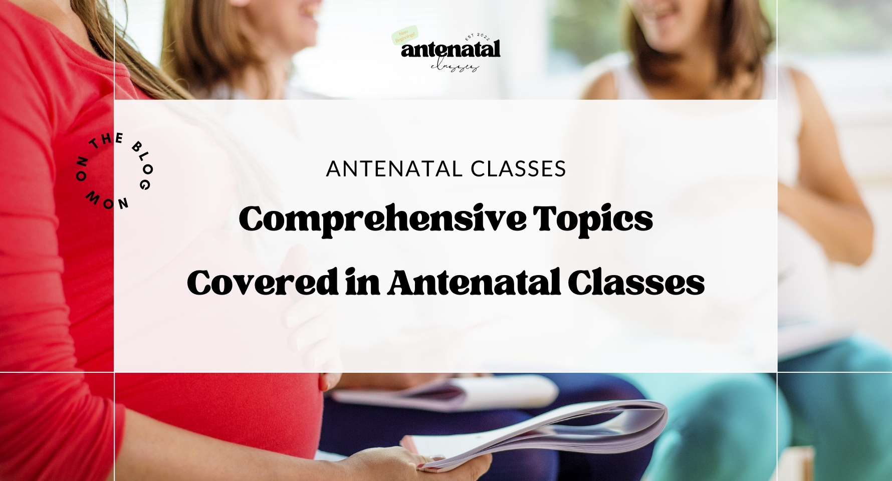 Topics Covered in Antenatal Classes